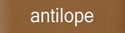 marilyn-antilope