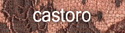 85153-castoro