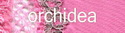 86153-orchidea
