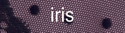 party-iris