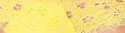 macrame-giallo