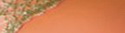 salmone-color-5534