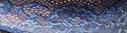 6236-color-blu